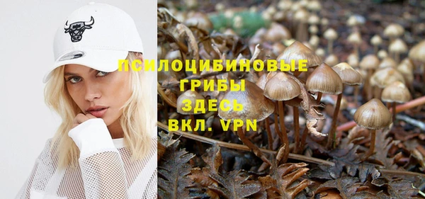 PSILOCYBIN Армянск
