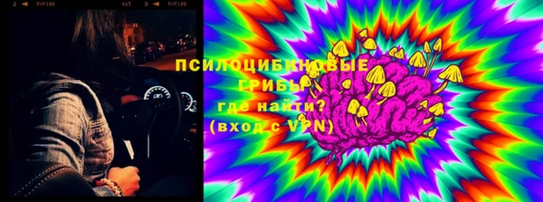 твердый Арсеньев