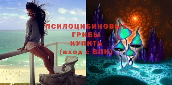 гидропоника Аркадак